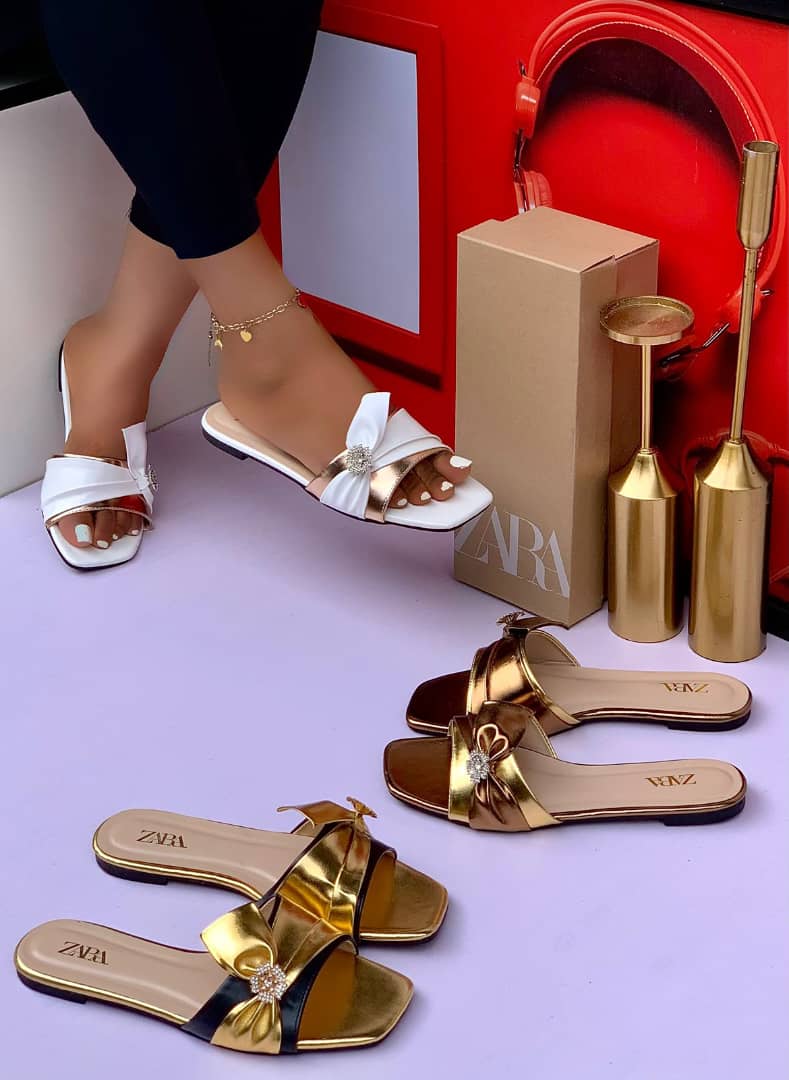Elevé Collection